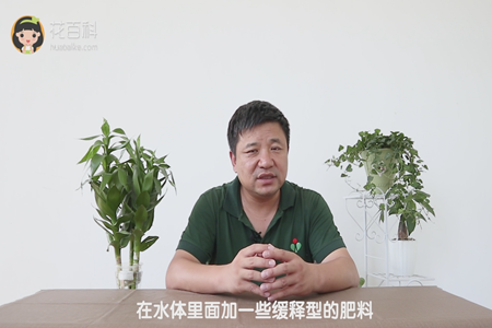 在水体里面加一些缓释型的肥料