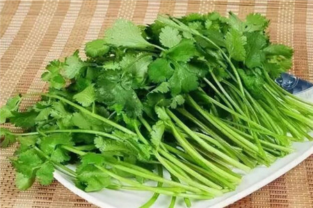 香菜