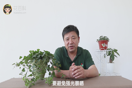 要避免阳光暴晒