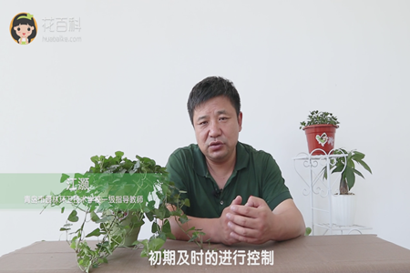 初期及时的进行控制