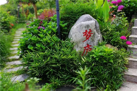 梦庐