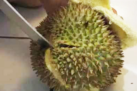 榴莲