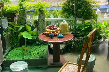 赏花吃果