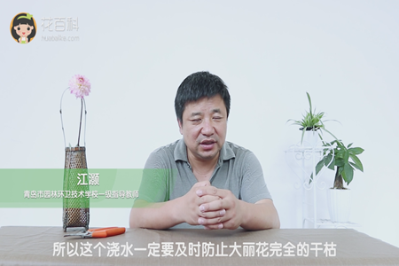 及时浇水
