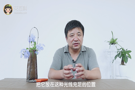 光线充足