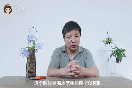 控制浇水