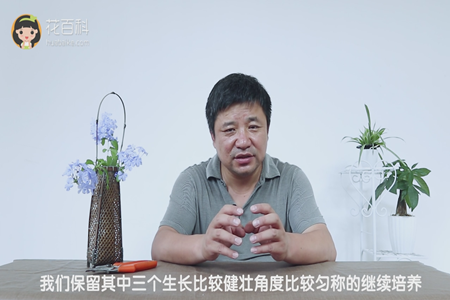 保留健壮的继续培养