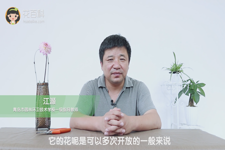 多次开放