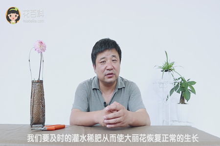 灌水稀肥