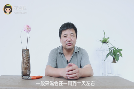 一周到十天左右