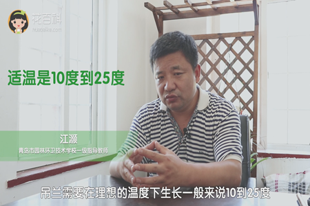 10-25度的温度最适宜