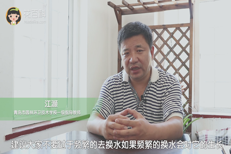 不要过于频繁换水