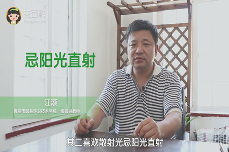 忌阳光直射