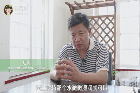 保持微微湿润