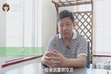 喜欢冷凉