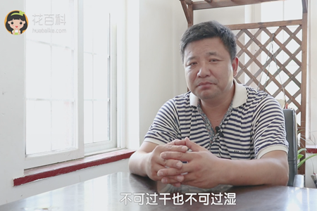 不可过干也可过湿