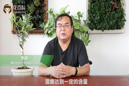 湿度达到一定的含量