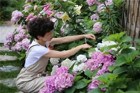 爱养花的女人