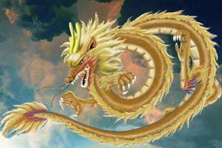 金枝玉叶