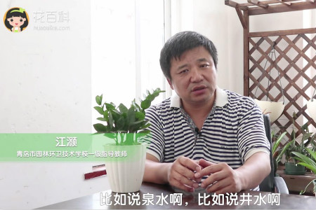 金钱数