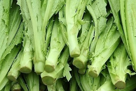 油麦菜