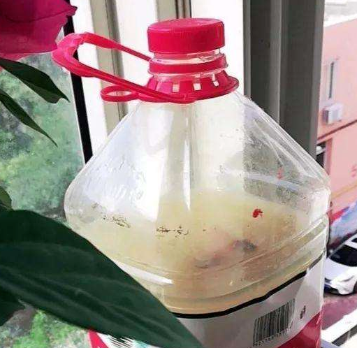 植物浇水