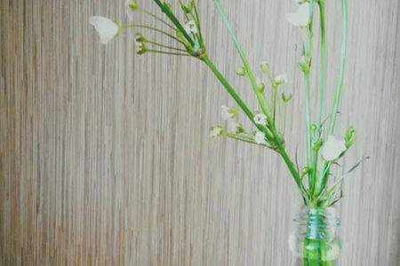 插花