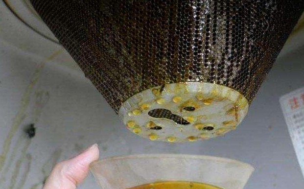 油烟机废油