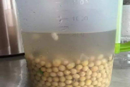 黄豆水