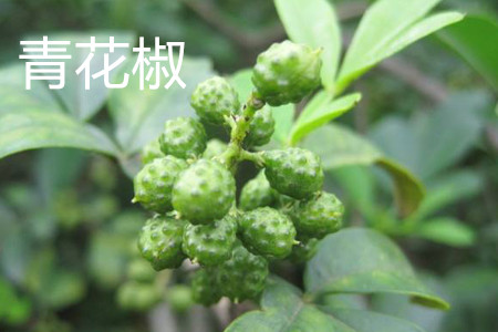 青花椒