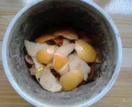 果皮中药肥