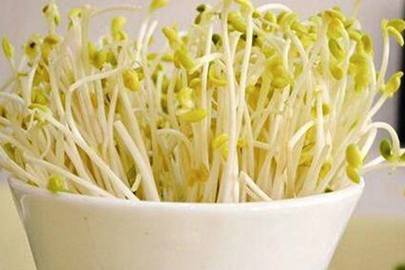 豆芽