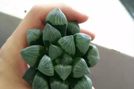 万象