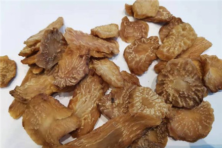 肉苁蓉