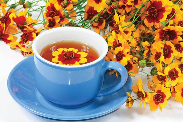 菊花茶如何制作 菊花茶如何制作