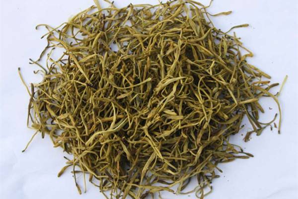 金银花的功效与作用 金银花的功效与作用