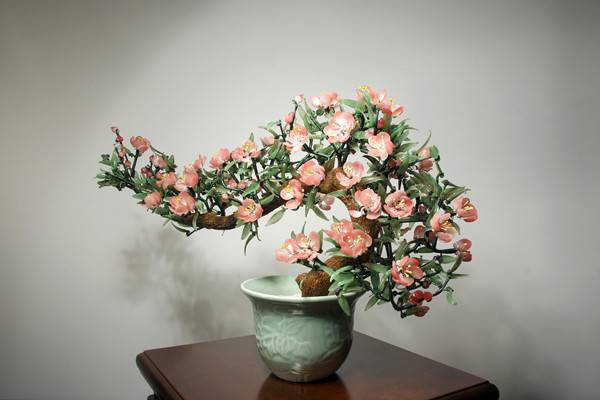 桃花的虫害防治大全 桃花的虫害防治大全