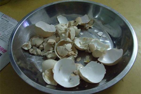 这几个自制花肥方法你知道不 这几个自制花肥方法你知道不