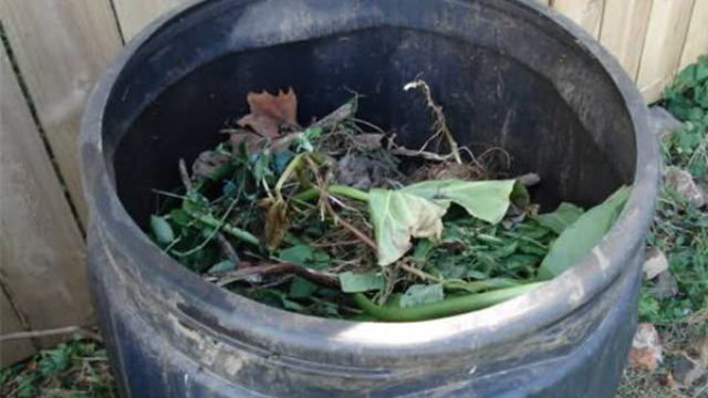 教你在家制作简单的氮、磷、钾花肥 教你在家制作简单的氮、磷、钾花肥