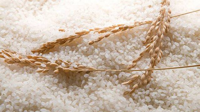 淘米水到底怎么浇花? 淘米水到底怎么浇花?