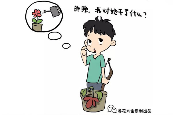 羞羞!十二星座沾花惹草那些事,太准了! 羞羞!十二星座沾花惹草那些事,太准了!