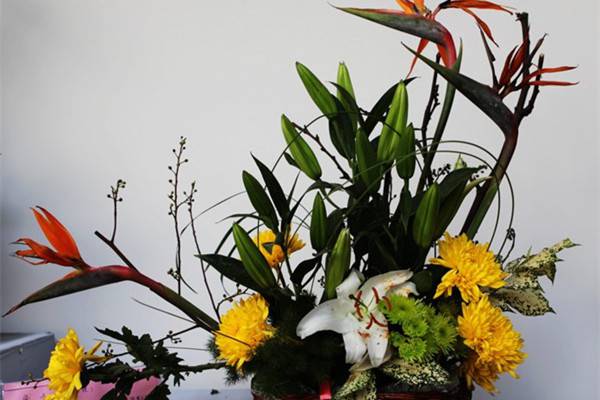 “花中隐士”菊花的插花欣赏 “花中隐士”菊花的插花欣赏
