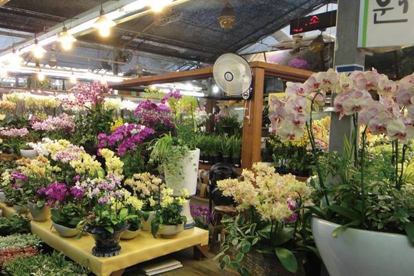 花店老板不会告诉你的7个选花技巧 花店老板不会告诉你的7个选花技巧