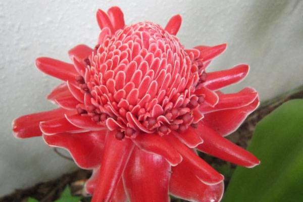 「毁三观」花界的奇葩们竟然办了台晚会 「毁三观」花界的奇葩们竟然办了台晚会