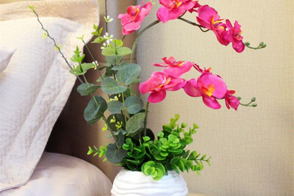 蝴蝶兰怎么催花 蝴蝶兰怎么催花