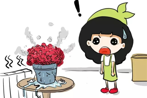 你随手一个小动作,就会把花害死 你随手一个小动作,就会把花害死