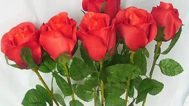 玫瑰花怎么用芽嫁接 玫瑰花怎么用芽嫁接