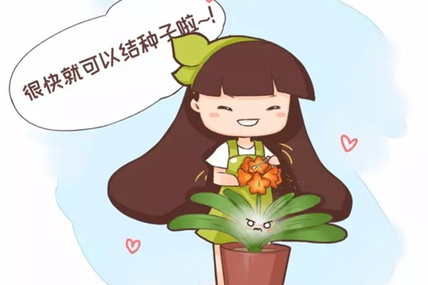 花草不用花钱买!只要给她做点羞羞的事 花草不用花钱买!只要给她做点羞羞的事