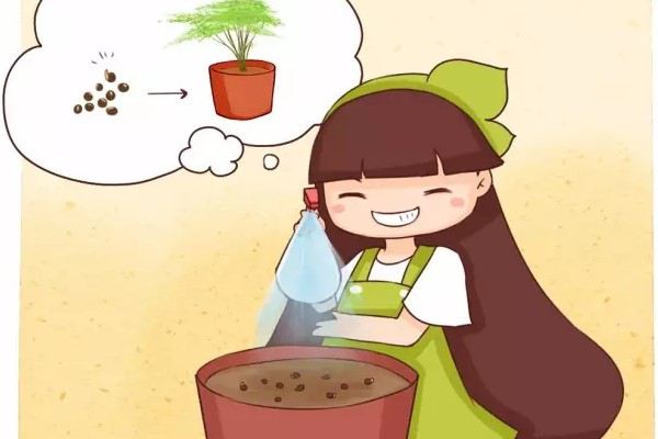 他养的文竹开了花,还结出100多个果,种土里全部发芽! 他养的文竹开了花,还结出100多个果,种土里全部发芽!