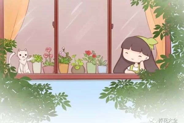 赚够100万,我就辞职回家,赏花喝茶过自己的小日子! 赚够100万,我就辞职回家,赏花喝茶过自己的小日子!